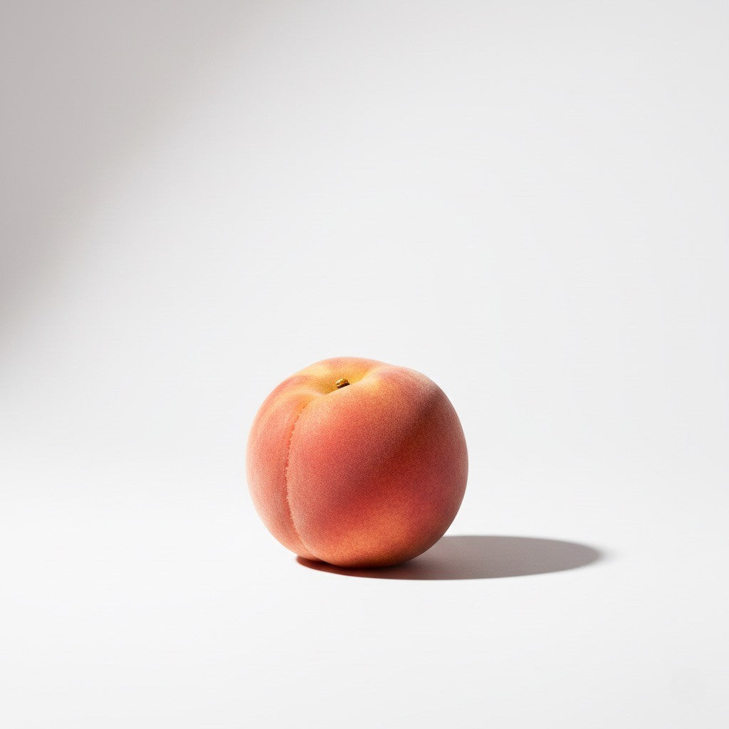 pêche